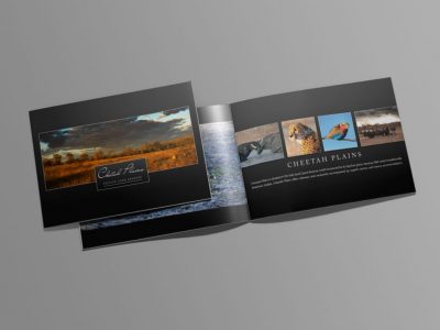 Cheetah-Plains-Brochure