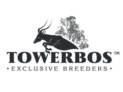 Towerbos-Exclusive-Breeders-Logo Towerbos-Exclusive-Breeders-Logo